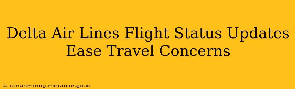Delta Air Lines Flight Status Updates Ease Travel Concerns