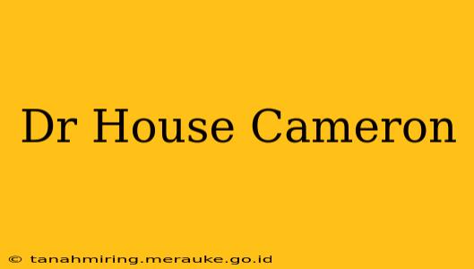 Dr House Cameron