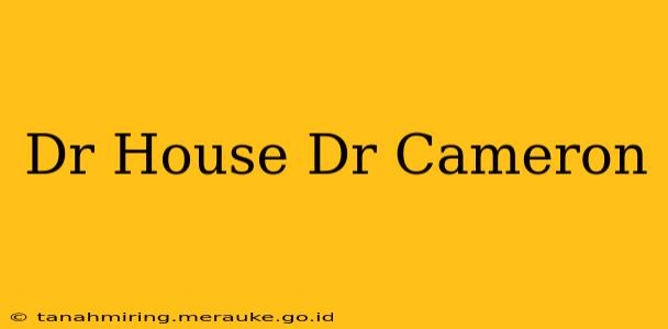 Dr House Dr Cameron