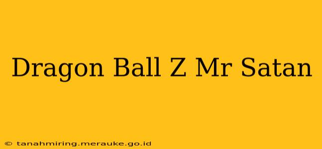 Dragon Ball Z Mr Satan