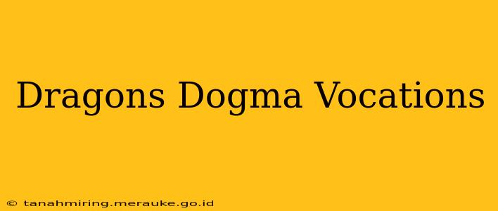 Dragons Dogma Vocations