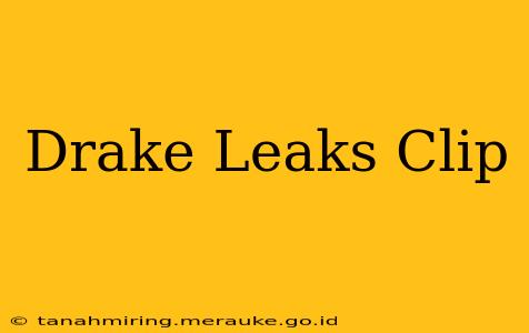 Drake Leaks Clip