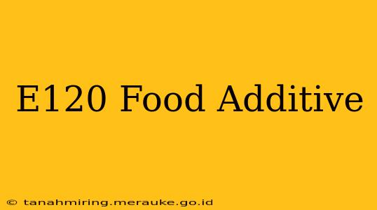 E120 Food Additive