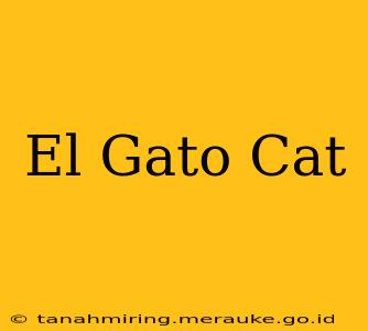 El Gato Cat