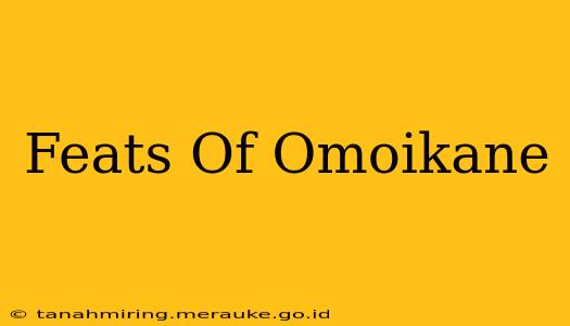 Feats Of Omoikane