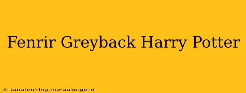 Fenrir Greyback Harry Potter