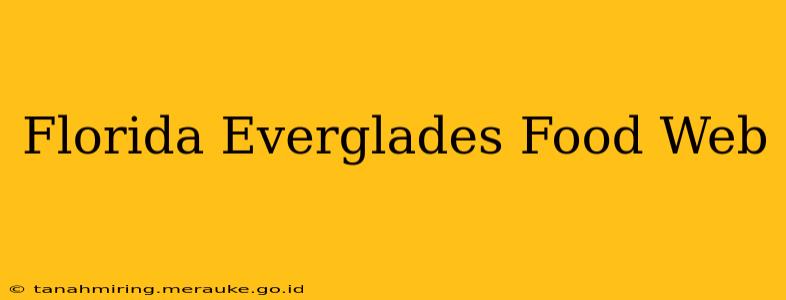 Florida Everglades Food Web