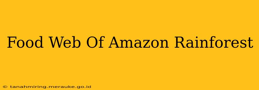 Food Web Of Amazon Rainforest