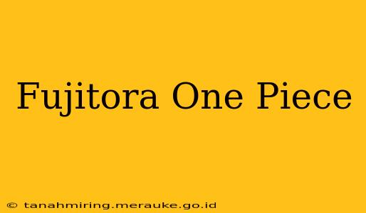 Fujitora One Piece