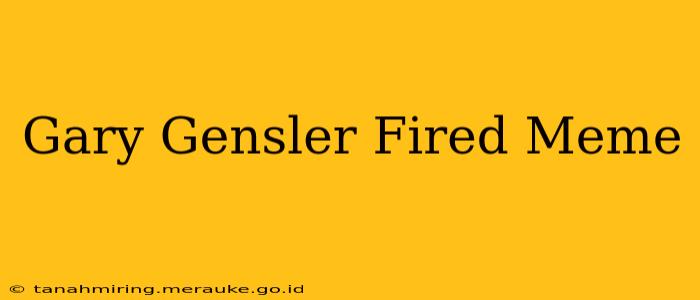 Gary Gensler Fired Meme