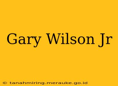 Gary Wilson Jr