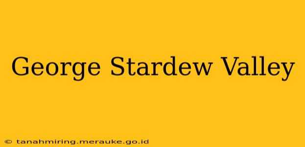 George Stardew Valley