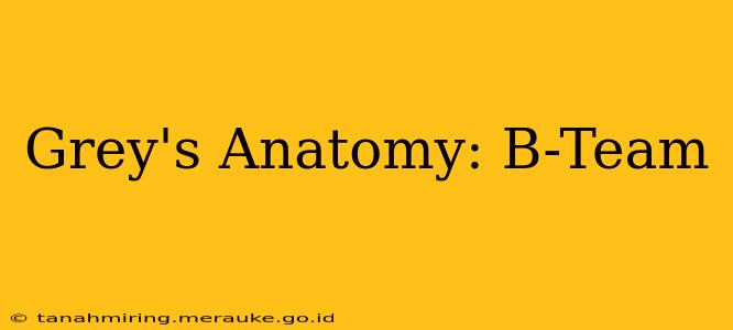 Grey's Anatomy: B-Team
