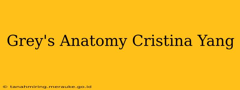 Grey's Anatomy Cristina Yang