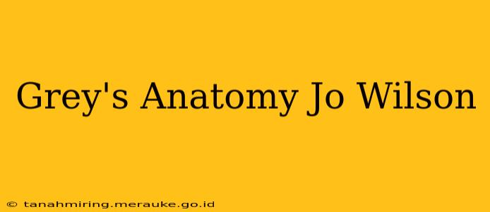 Grey's Anatomy Jo Wilson