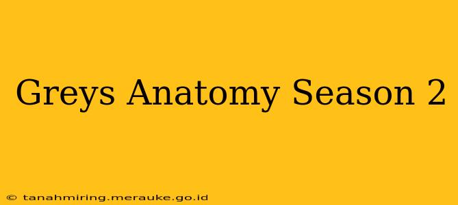 Greys Anatomy Season 2