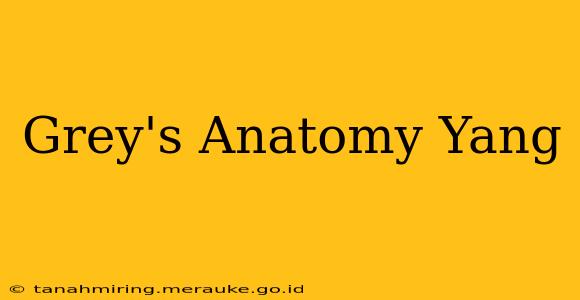 Grey's Anatomy Yang