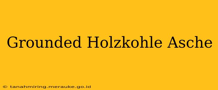Grounded Holzkohle Asche