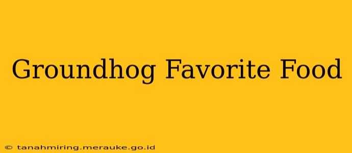 Groundhog Favorite Food
