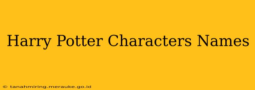 Harry Potter Characters Names