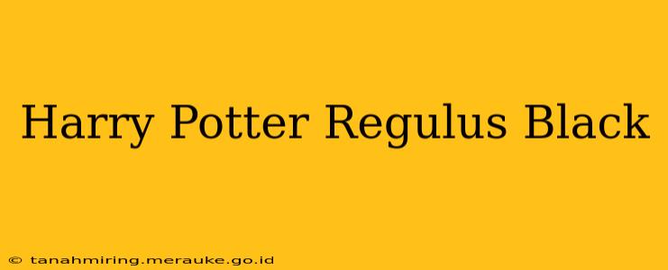 Harry Potter Regulus Black