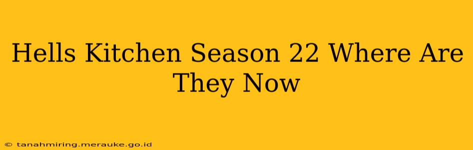 Hells Kitchen Season 22 Where Are They Now