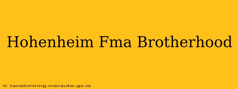 Hohenheim Fma Brotherhood