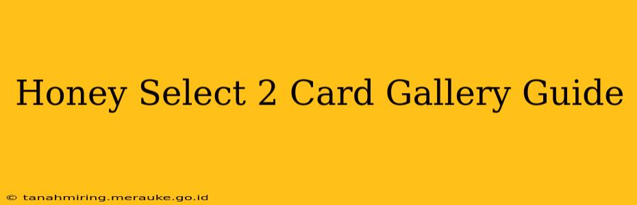 Honey Select 2 Card Gallery Guide