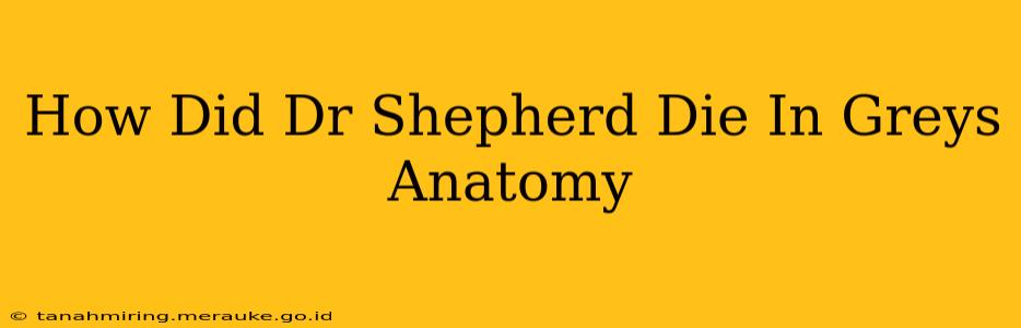 How Did Dr Shepherd Die In Greys Anatomy