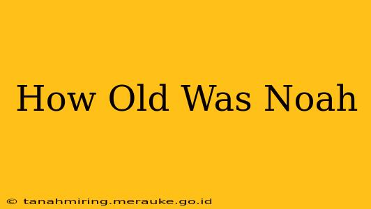 How Old Was Noah