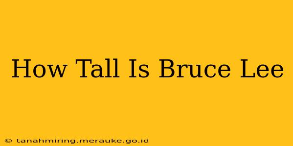 How Tall Is Bruce Lee
