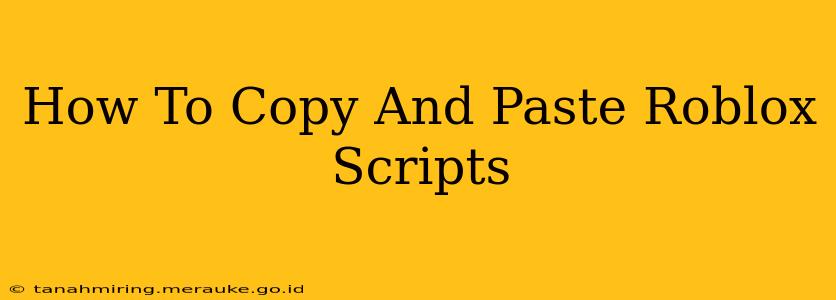 How To Copy And Paste Roblox Scripts