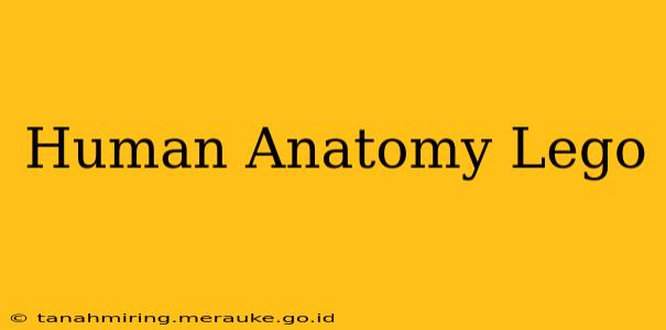 Human Anatomy Lego