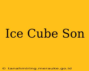 Ice Cube Son