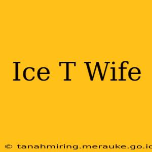 Ice T Wife