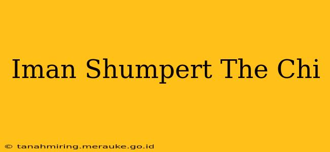 Iman Shumpert The Chi