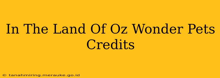 In The Land Of Oz Wonder Pets Credits