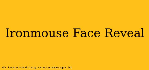 Ironmouse Face Reveal