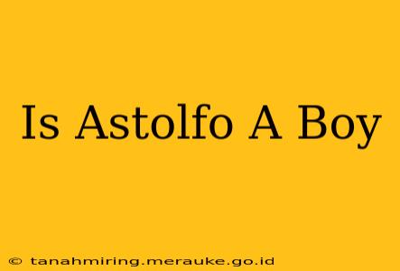 Is Astolfo A Boy