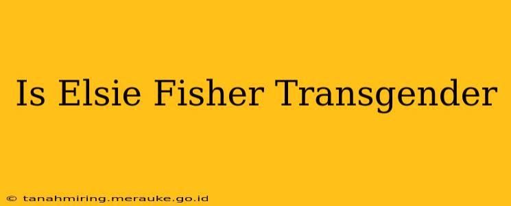 Is Elsie Fisher Transgender