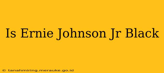 Is Ernie Johnson Jr Black