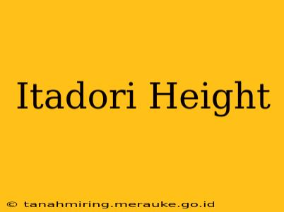 Itadori Height