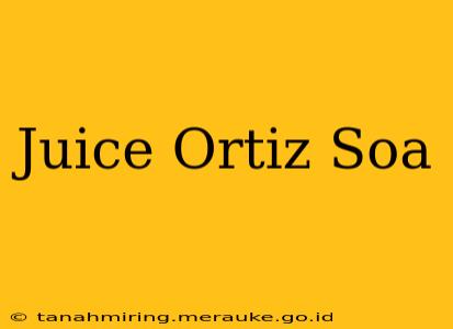 Juice Ortiz Soa