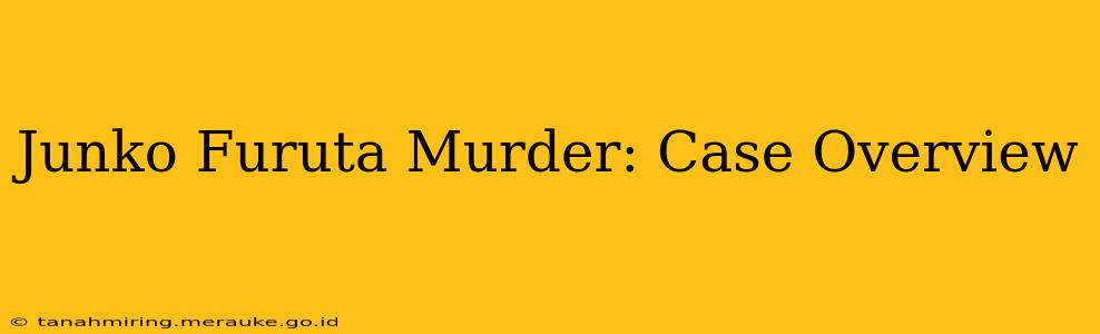 Junko Furuta Murder: Case Overview