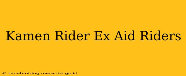 Kamen Rider Ex Aid Riders