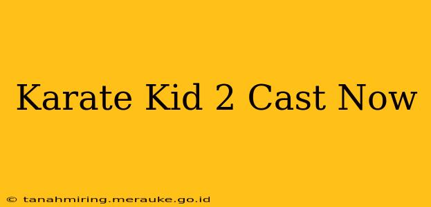 Karate Kid 2 Cast Now