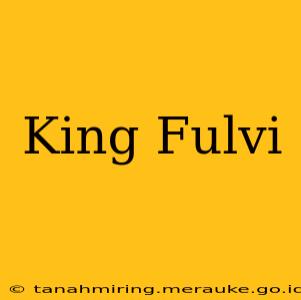 King Fulvi