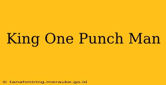 King One Punch Man