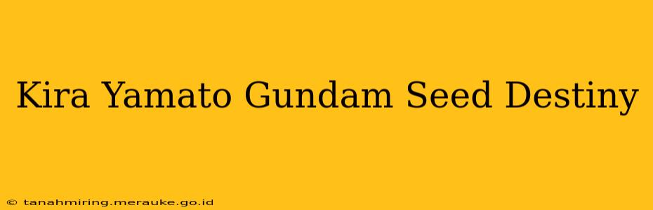 Kira Yamato Gundam Seed Destiny