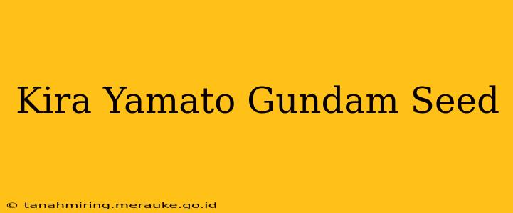 Kira Yamato Gundam Seed